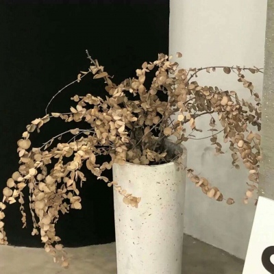 房山福瑞交流群